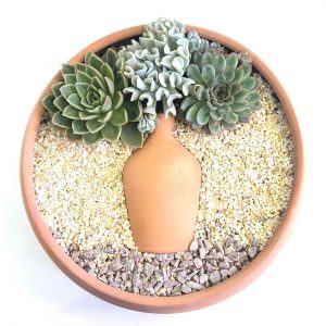 Vaso Cerâmico com jarro - arranjo de suculentas (plantas naturais)